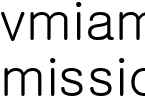 mission ¹Ì¼Ç